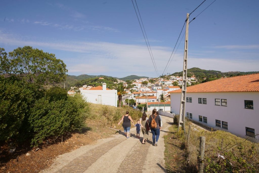 pexels photo 1545398.jpeg