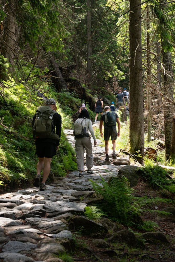 pexels photo 32783588.jpeg